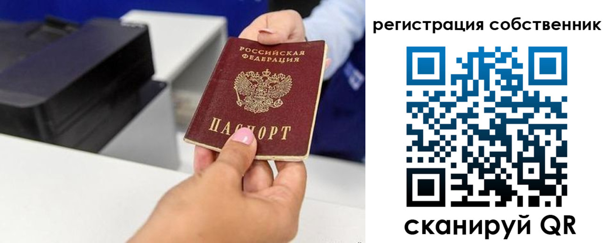 прописка для школы в Струнино